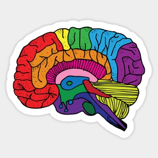 Rainbow Brain Sticker